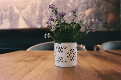 紫色有花瓣的花白色花瓶位于棕色木桌上
